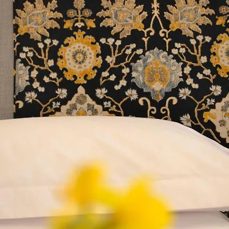公寓 Palazzino Leone Corfu (city)
